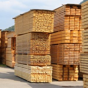 Kayu Merbau Papua