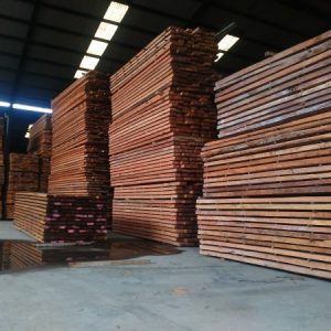 Kayu Kamper Samarinda