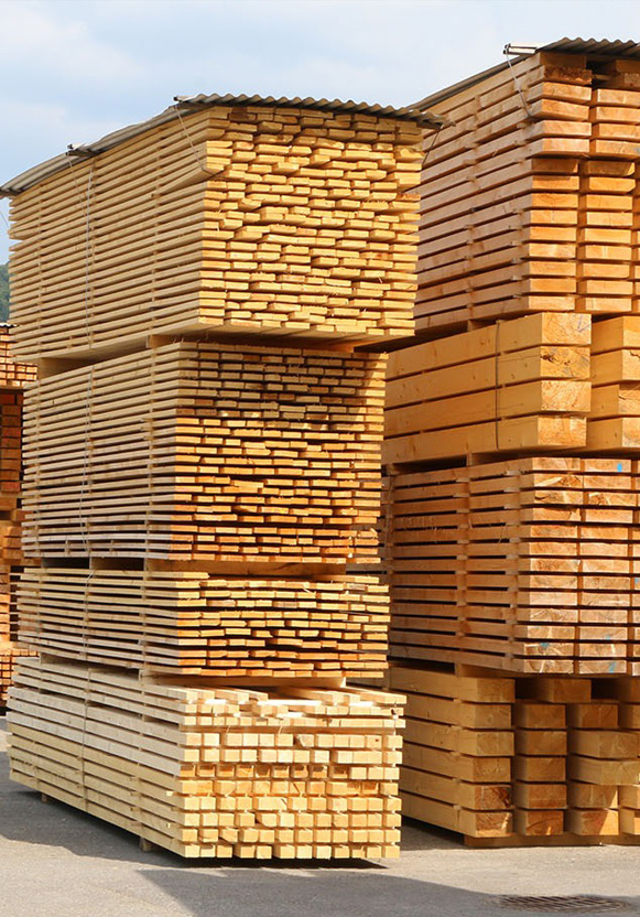 kayu merbau