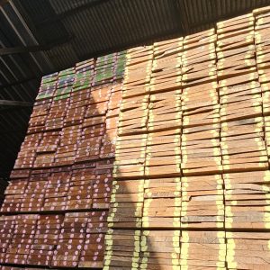 Kayu Kamper Samarinda – Elegan, Tahan Lama, dan Bebas Rayap