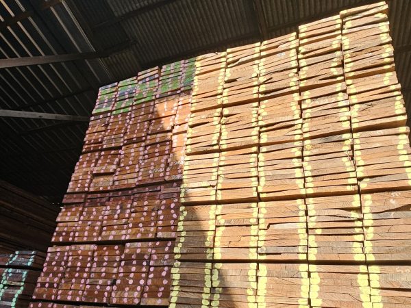 Kayu Kamper Samarinda