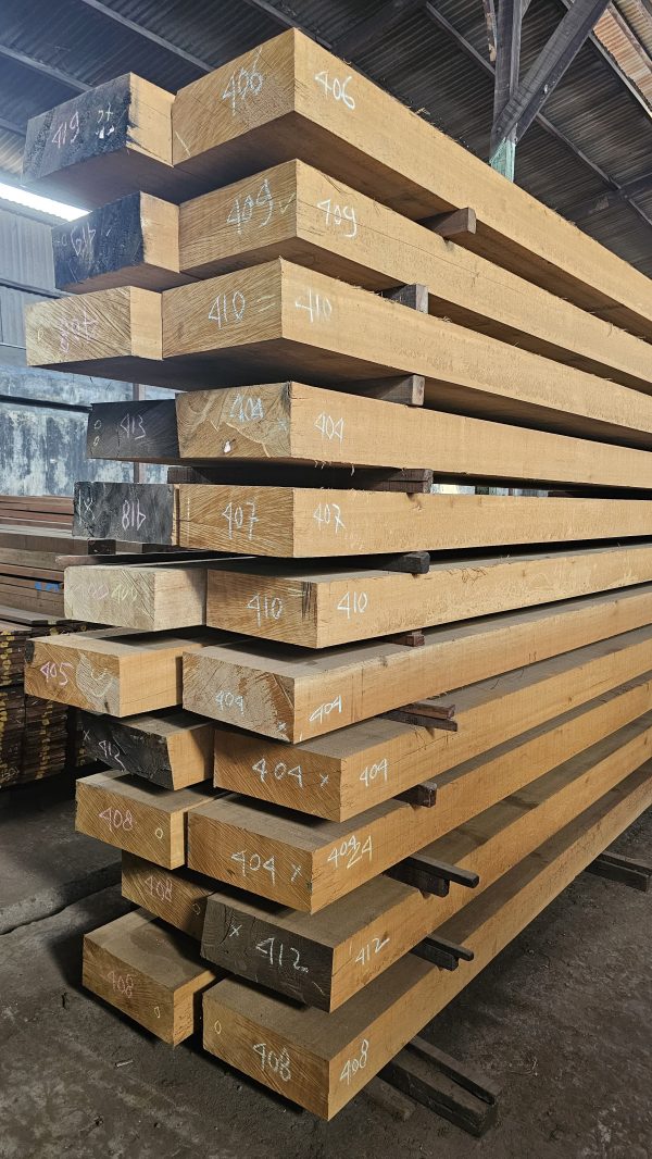 Kayu Meranti