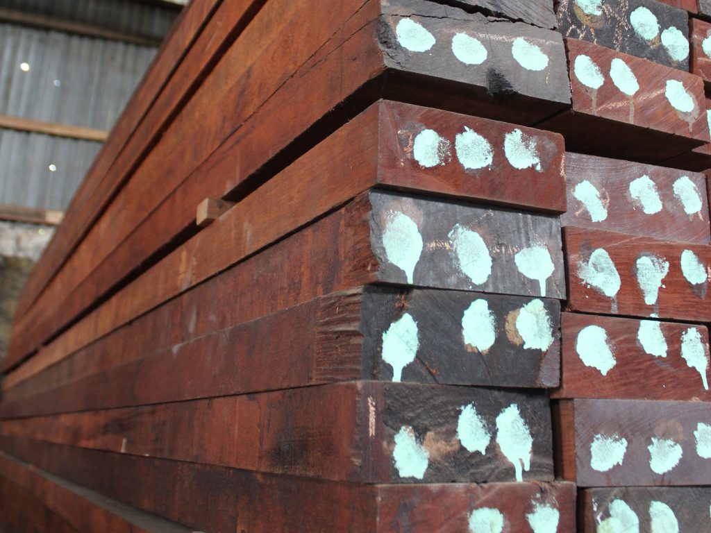 kayu merbau papua