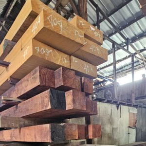 Kayu Merbau Papua – Kokoh, Tahan Lama, dan Mewah