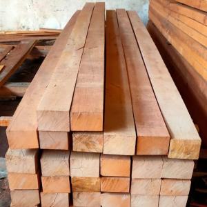 Kayu kamper vs jati
