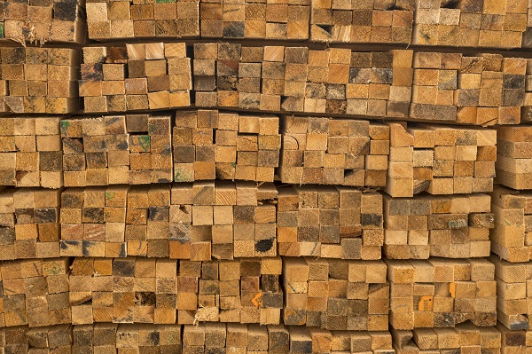 kayu kamper samarinda