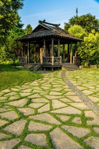jual kayu bengkirai