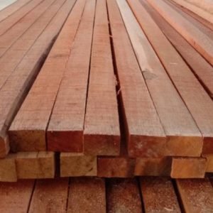 Kayu Meranti