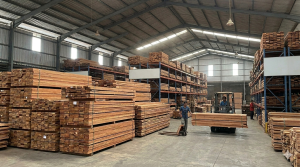 Kayu Kamper Samarinda Oven