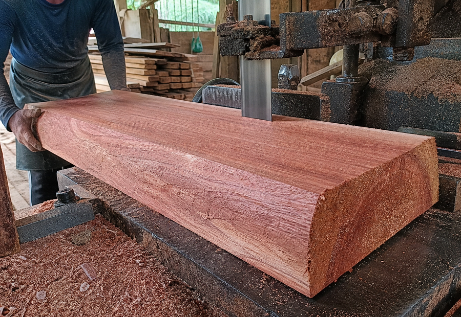 Jual Kayu Meranti