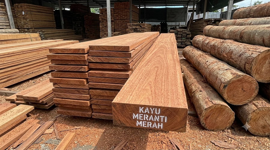 kayu meranti merah