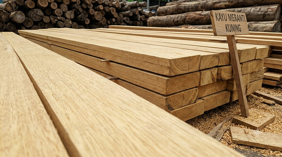 kayu meranti kuning
