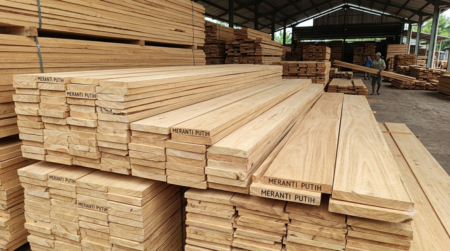 kayu meranti putih
