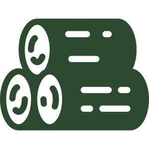 log log